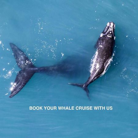Anchor'S Rest Hotel Hermanus Luaran gambar