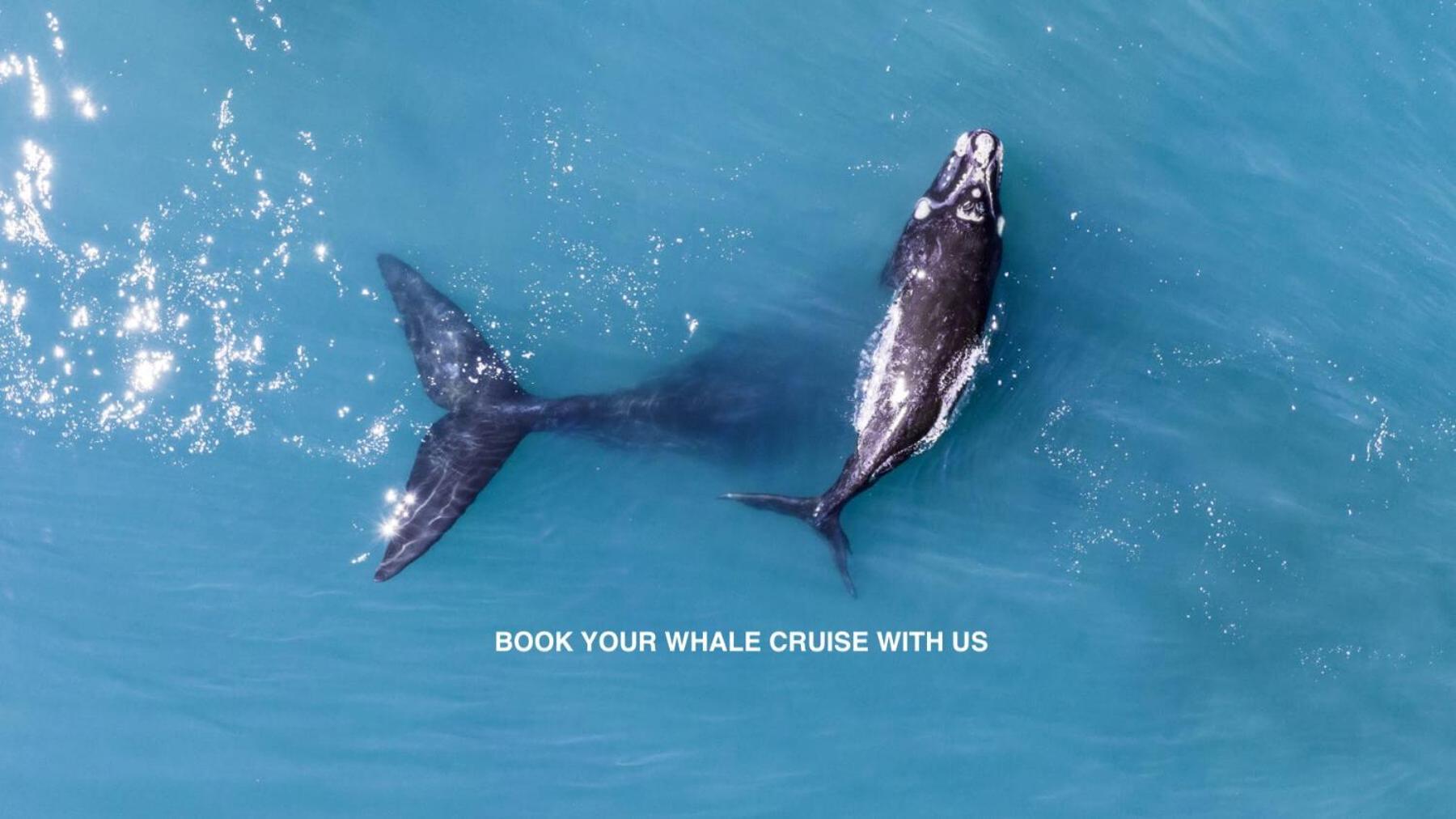 Anchor'S Rest Hotel Hermanus Luaran gambar