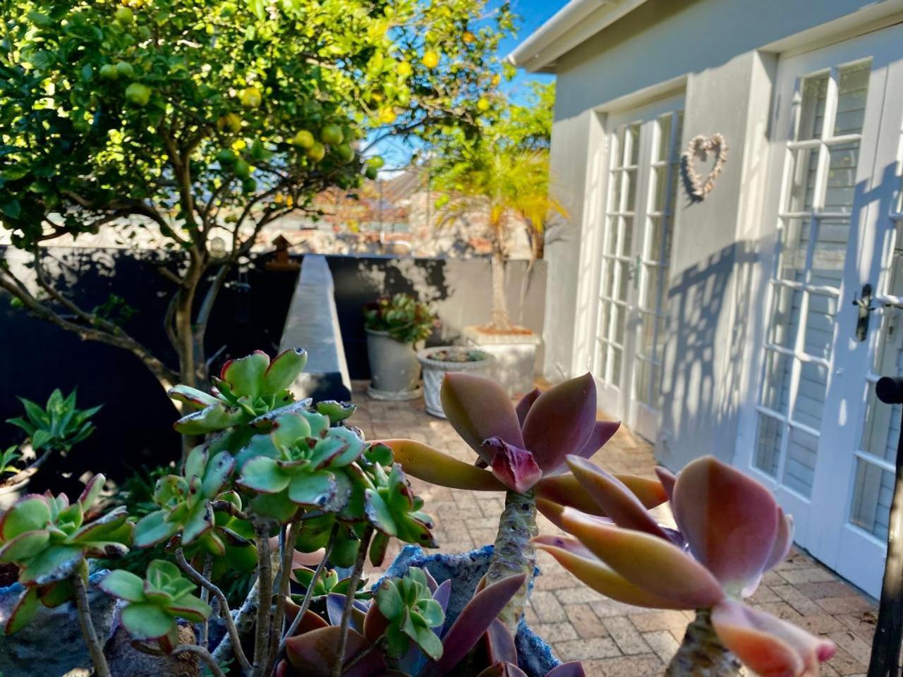 Anchor'S Rest Hotel Hermanus Luaran gambar